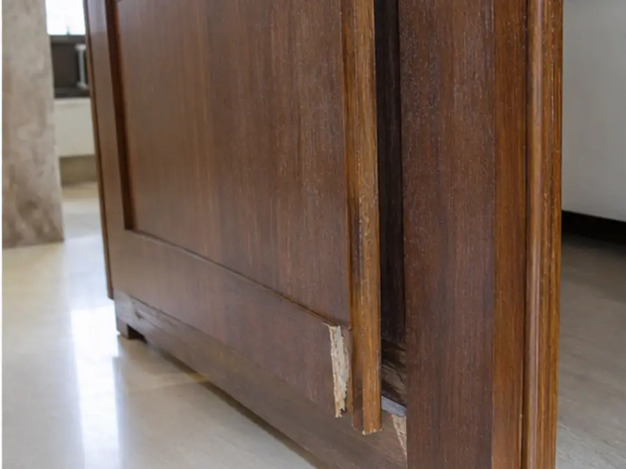 Termite activity in kitchen cabinets