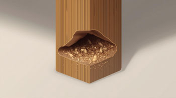 Wood and furniture termite treatment in Karnataka