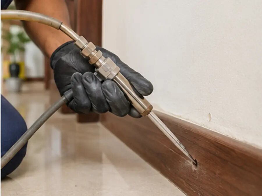 Anti-termite reticulation piping installation in Shivamogga